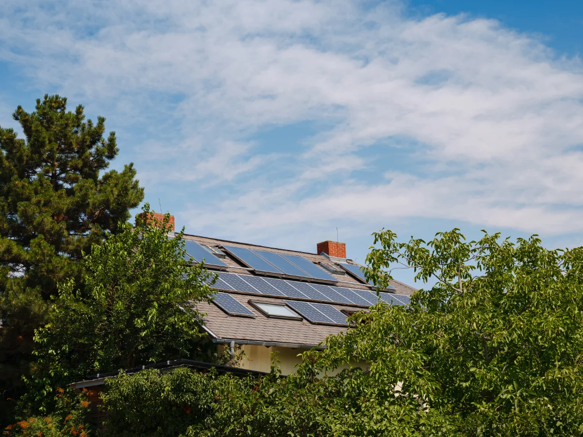 Hausdach mit Photovoltaik-Solaranlage hinter grünem Laub